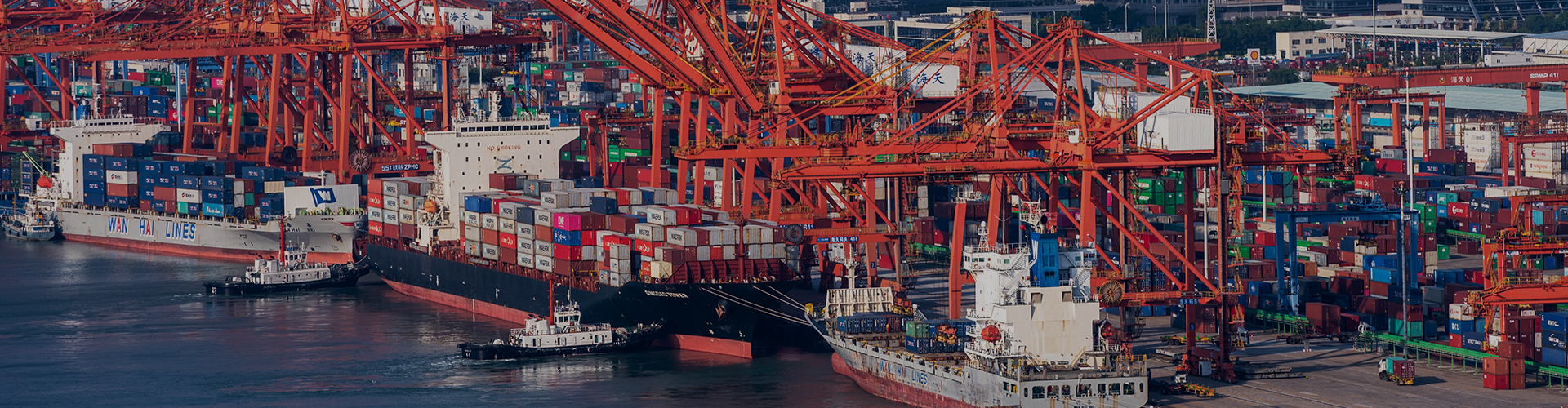 九游娱乐官网下载安装